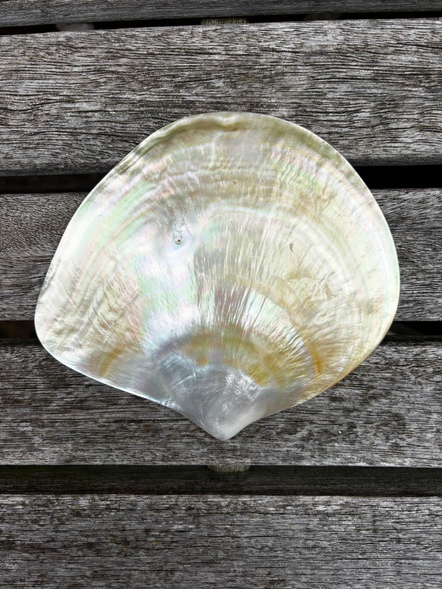 Mother of Pearl Dish