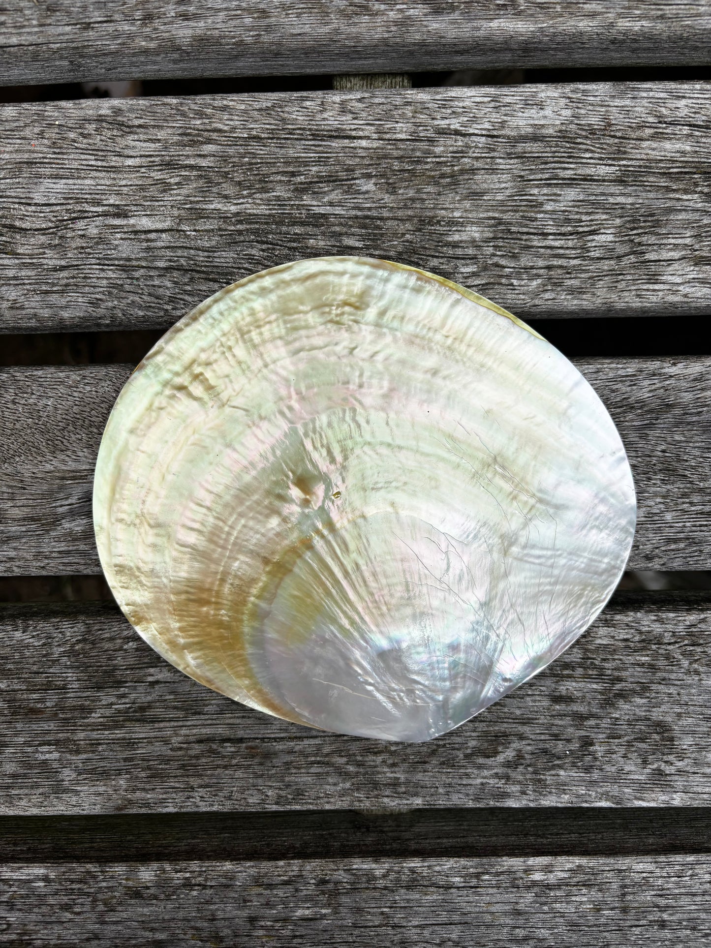 Mother of Pearl Dish