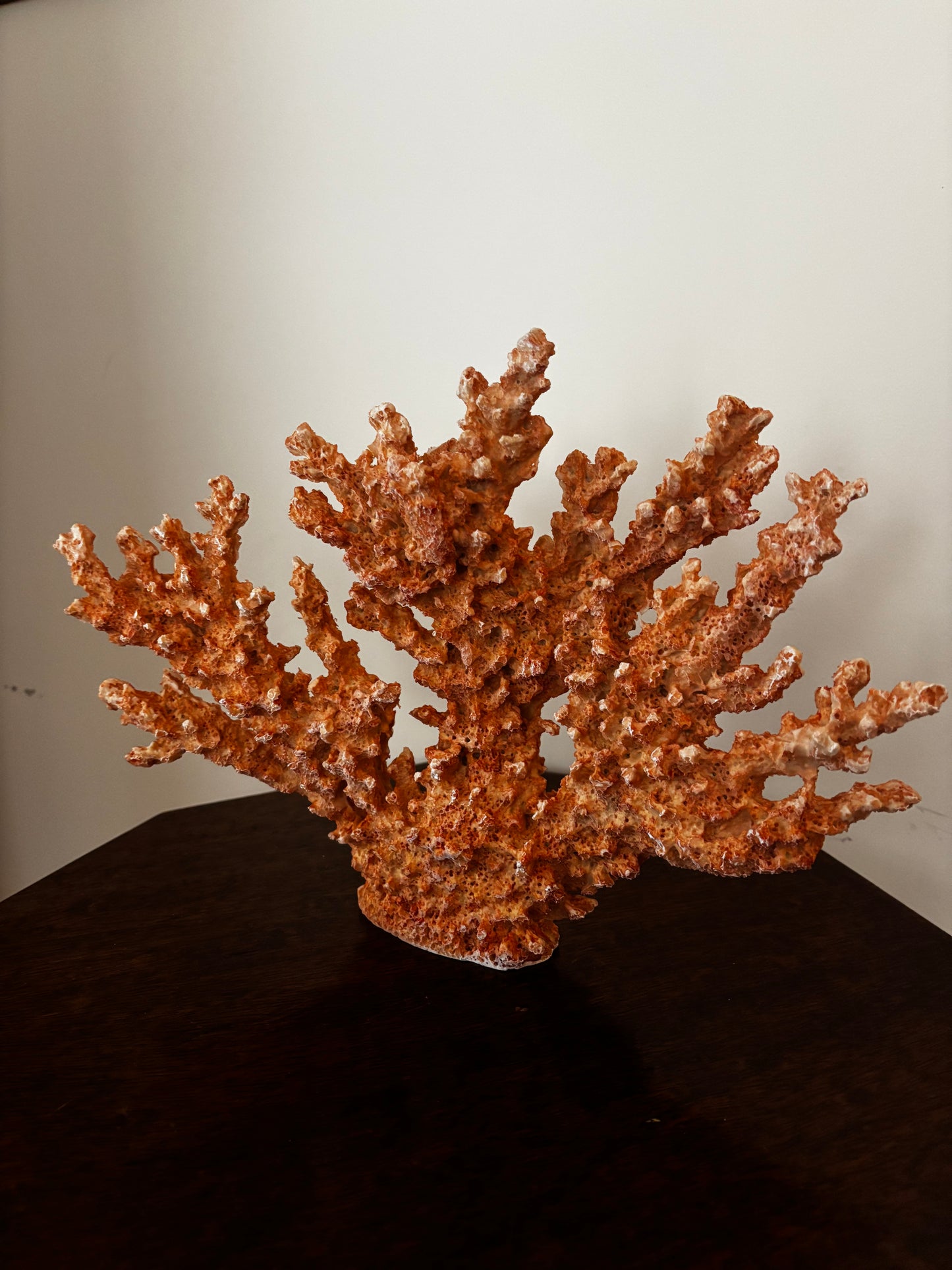 Red Coral Display Piece