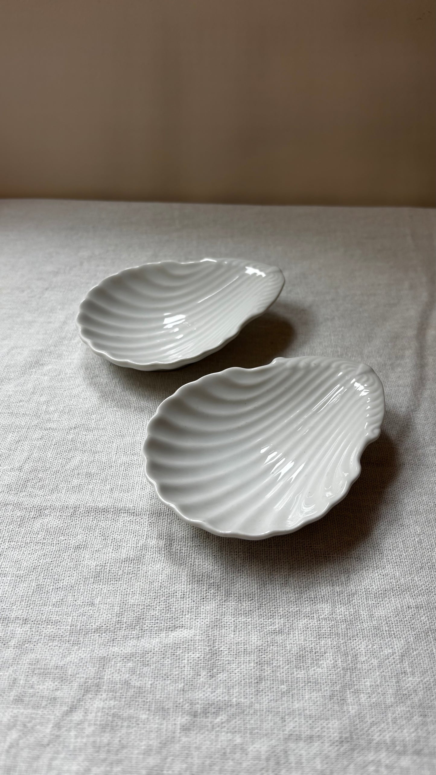 Shell-shaped dishes