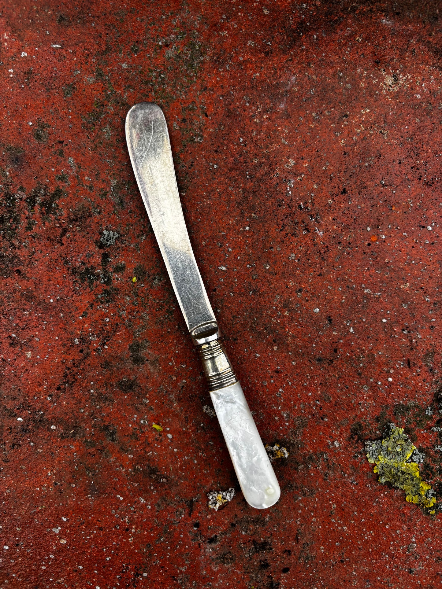 Mother of Pearl Handled Butter Knife