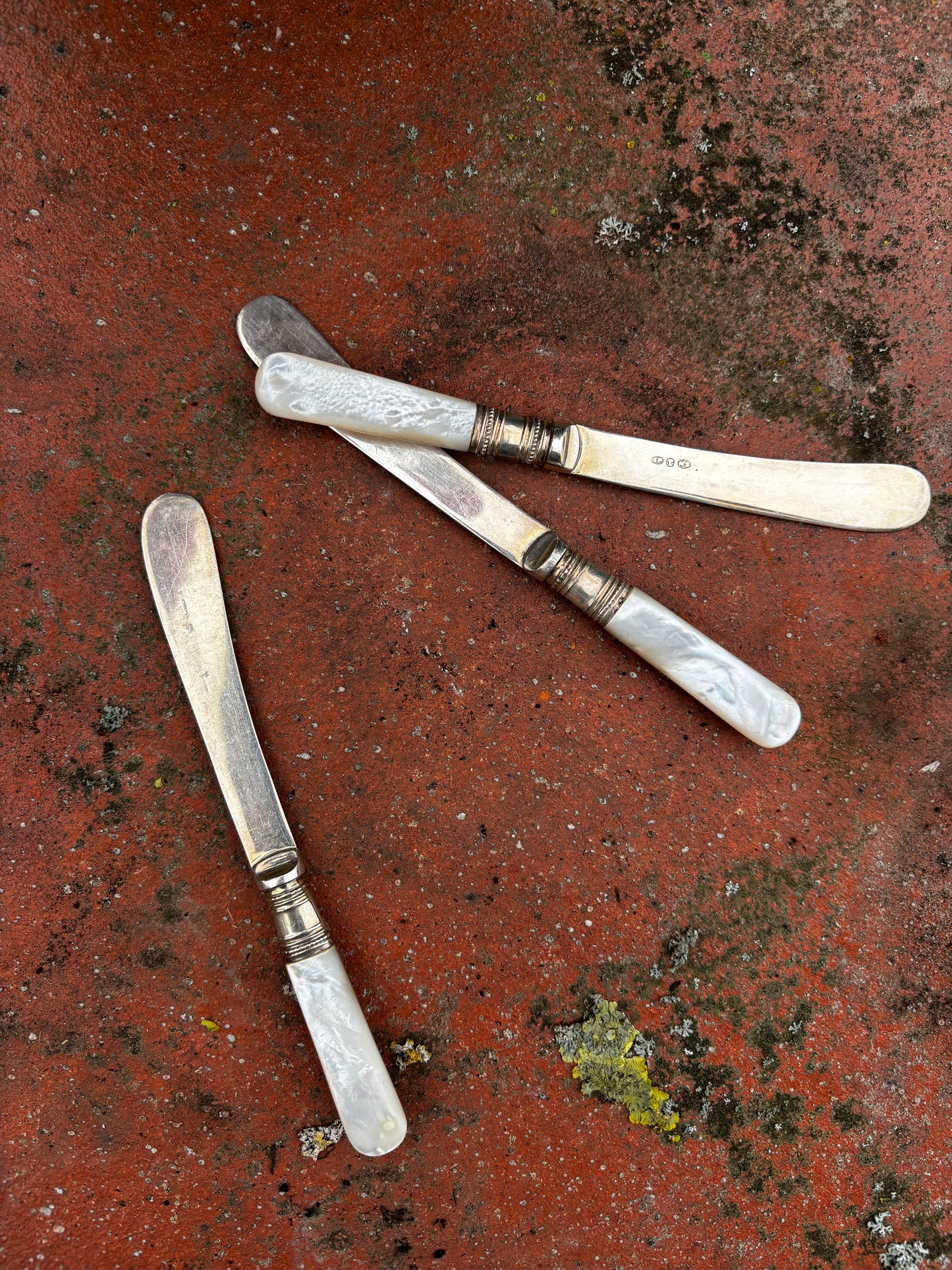 Mother of Pearl Handled Butter Knife