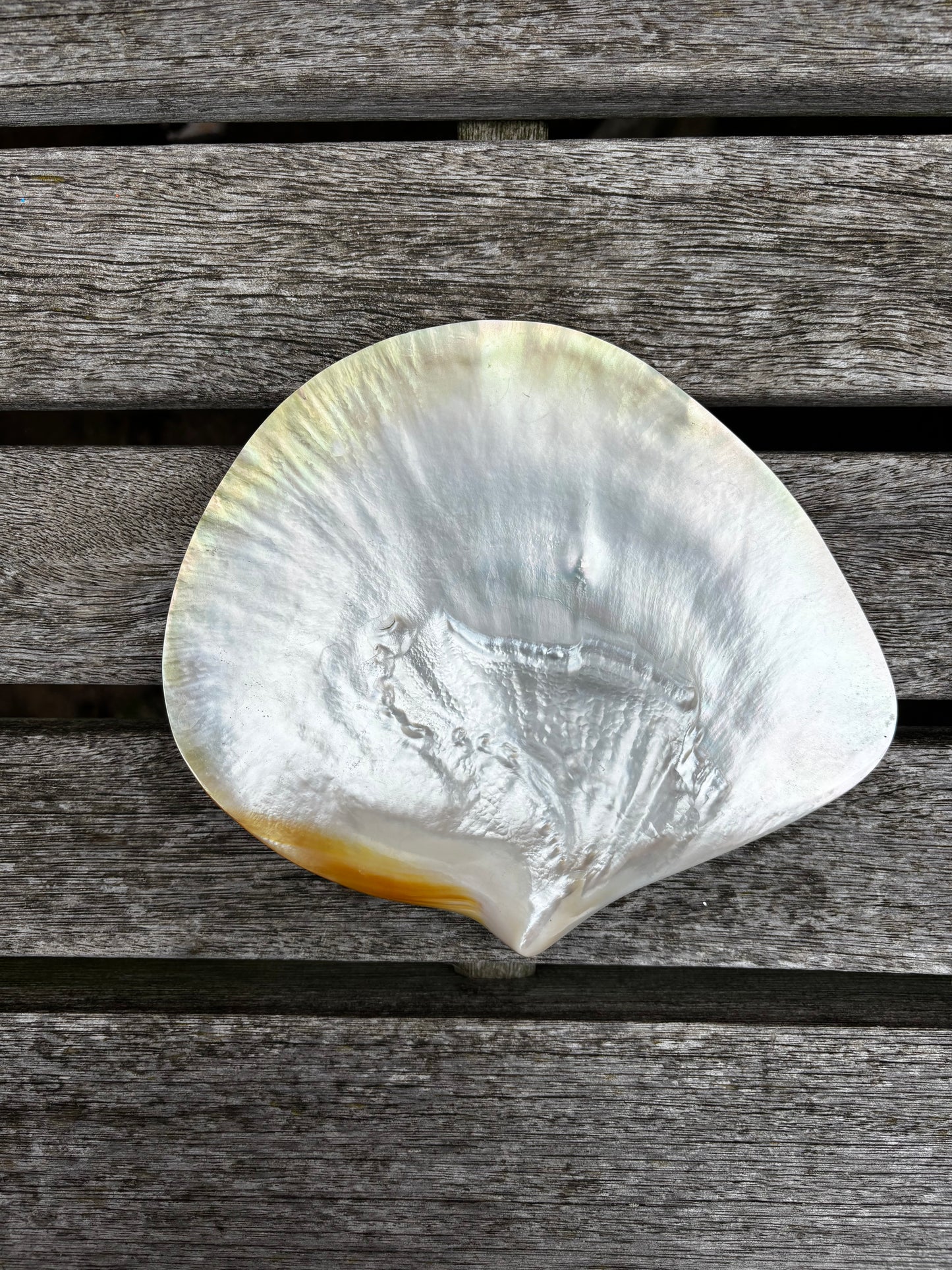 Mother of Pearl Dish