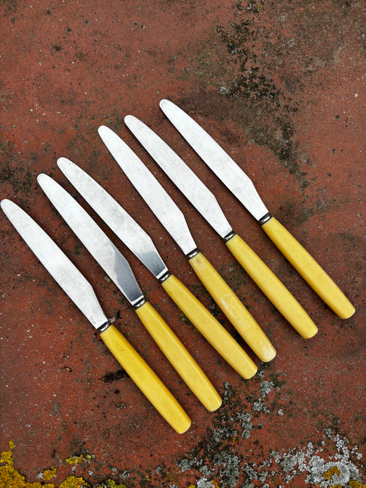 Bone Handle Knives