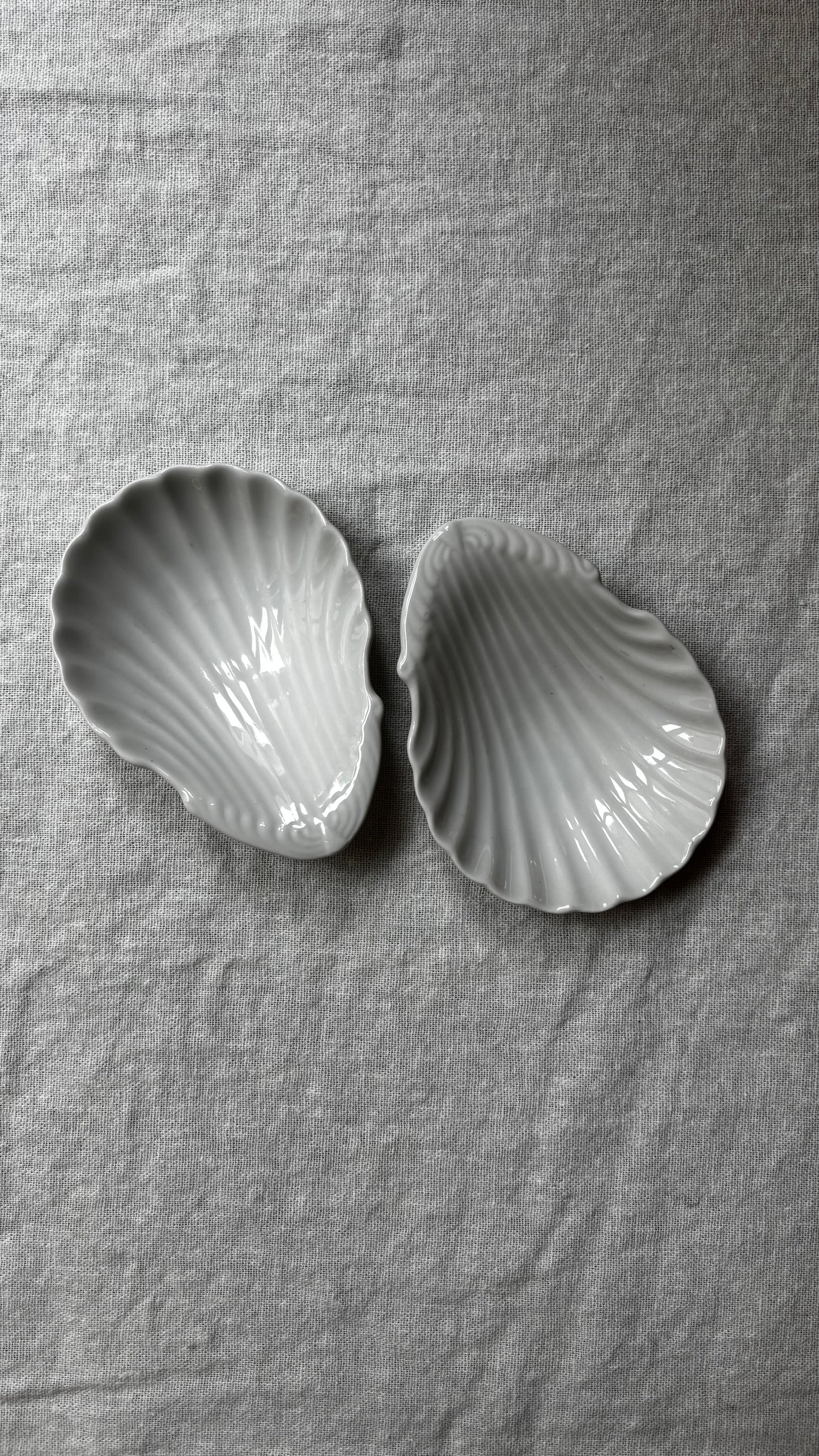 Shell-shaped dishes