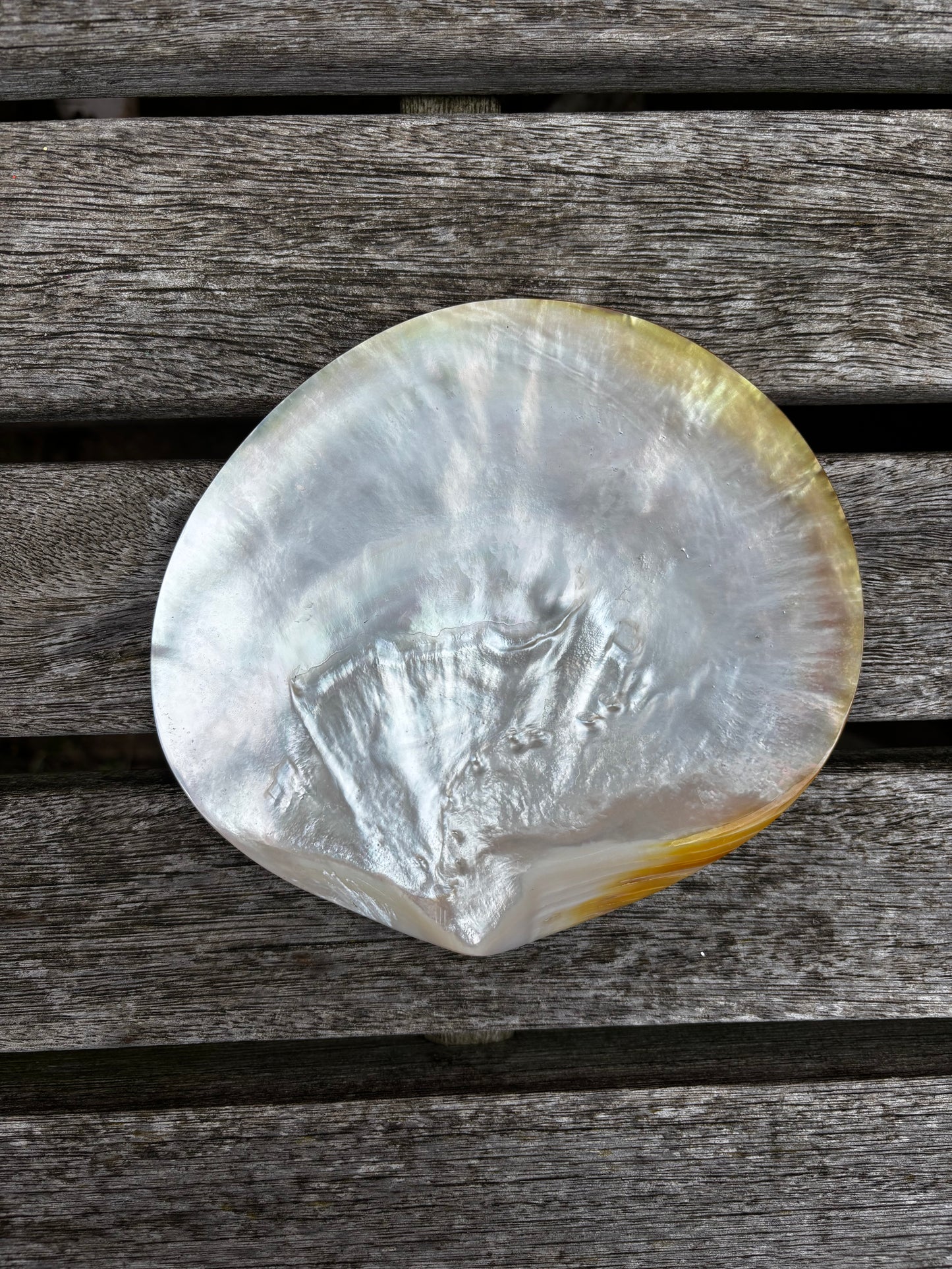 Mother of Pearl Dish