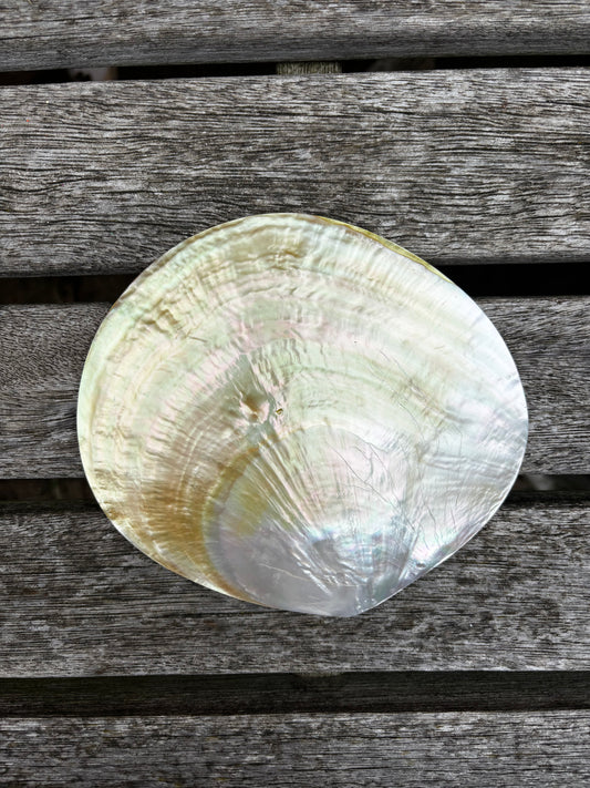 Mother of Pearl Dish