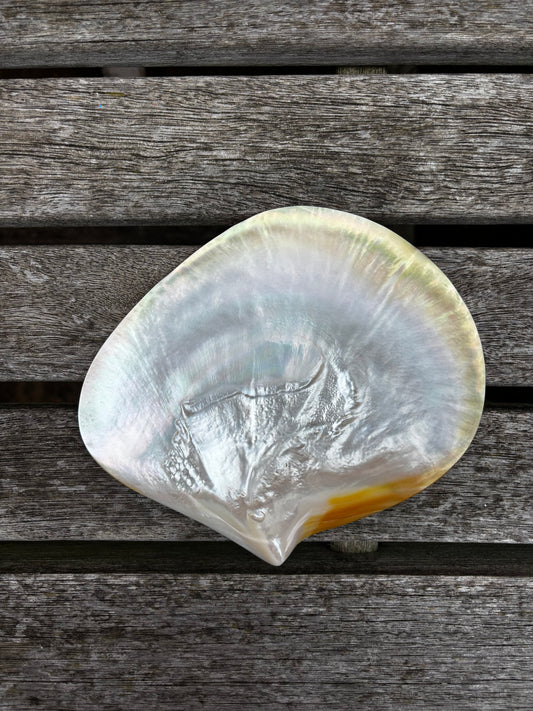 Mother of Pearl Dish