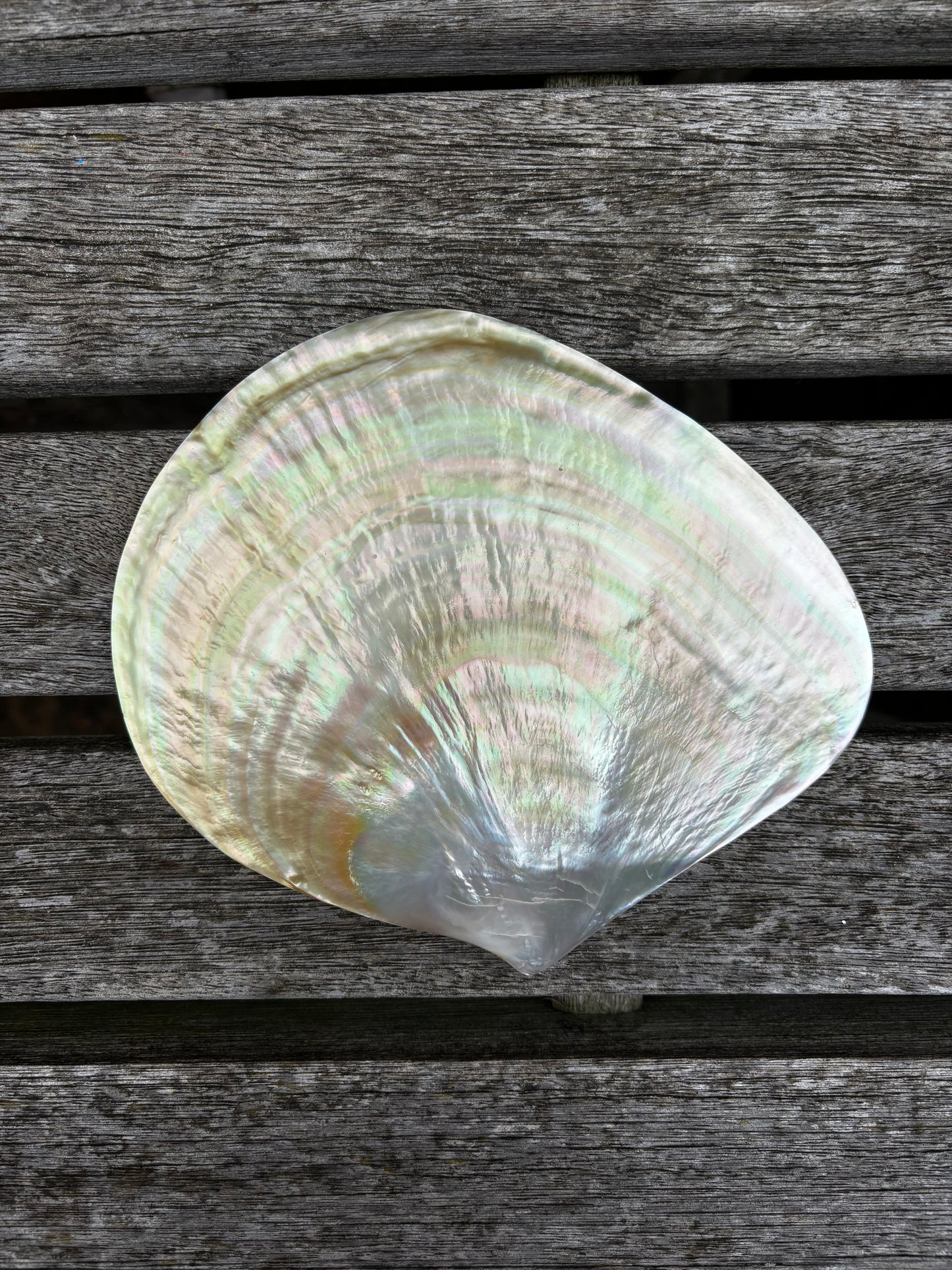 Mother of Pearl Dish